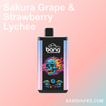 60000 Puffs Disposable Vape | 60000 Trekjes Wegwerp Vape - Upends
