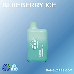 Bang BC5000 vape in Blueberry Ice flavor with a light green device against a blue gradient background, showing the brand logo and flavor name.