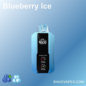 ライトブルーの背景に、ダブルメッシュテクノロジーを採用したBang Blueberry Ice使い捨てベイプ。左下にブルーベリーと氷のアイコンが描かれています。