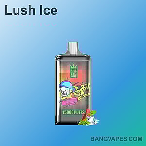 15,000 回吸引でき、スイカ アイス フレーバーのイラストが付いた Bang King Lush Ice 使い捨てベイプ。