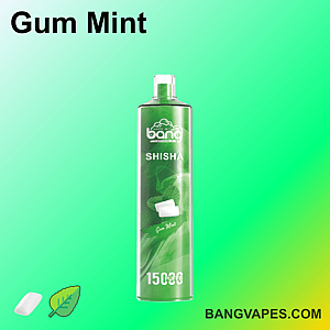 Bang Shisha Gum Mint Einweg-Vape mit 15.000 Zügen, mit grünem Design mit Minzblättern und Kaugummi-Illustration.