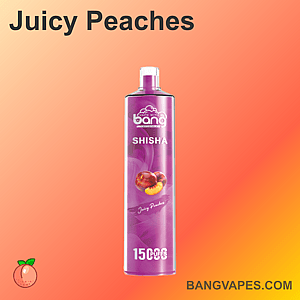 Lilafarbener Vape-Pen mit der Aufschrift „Bang Shisha Juicy Peaches“ und einem Pfirsichbild, der 15.000 Züge ermöglicht, vor einem orangefarbenen Hintergrund mit Farbverlauf.