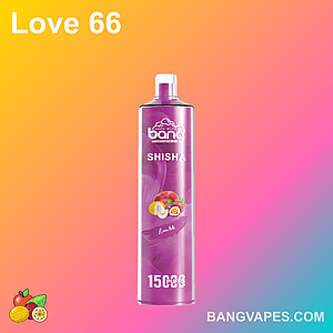 Ein lilafarbenes Einweg-Vaporizer mit der Aufschrift „Bang Shisha Love 66“ mit 15.000 Zügen und Bildern von Passionsfrüchten, Melonen und Beeren.