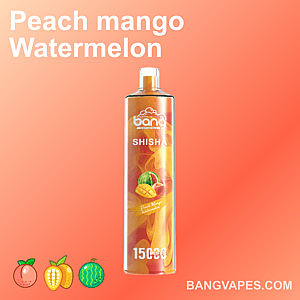 Pfirsich-Mango-Wassermelonen-Vape mit 15.000 Zügen von Bang Vapes.