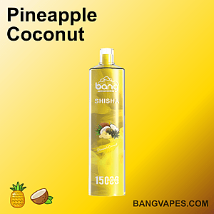 Bang Shisha Pineapple Coconut Vape, 1500 Züge, mit gelber Verpackung mit Bildern von Ananas und Kokosnuss.