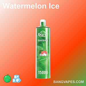 Watermelon Ice Vape mit 1500 Zügen von Bang Shisha in einer grünen Dose mit Wassermelonen- und Eiswürfelsymbolen auf der Verpackung.