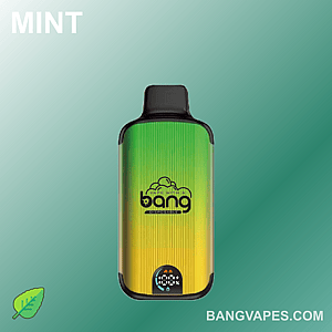 Dispositivo per svapo monouso Bang al gusto di menta, caratterizzato da un design sfumato dal verde al giallo e dall'indicatore della batteria 100% sulla parte anteriore.