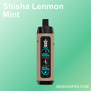 ミントグリーンの背景に「Bang King」のラベルと「Shisha Lenmon Mint」および「BANGVAPES.COM」の文字が書かれた Vape デバイス。