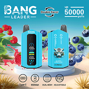 Promotional image for BANG LEADER vape device featuring two blue vape units, illustrations of raspberries and blueberries, and product features such as double flavor, up to 50,000 puffs, Type-C charging, 650mAh battery, dual mesh technology, and adjustable settings.