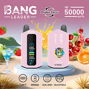 Promotional image for Bang Leader vape device showing two pink vapes, fruit designs, and a beach background, highlighting features such as double flavor, up to 50,000 puffs, Type-C charging, 650mAh battery, dual mesh, and adjustable settings.