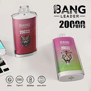 Deux appareils de vapotage Bang Leader avec des illustrations de tigre colorées, offrant 20 000 bouffées et présentant des spécifications : capacité de 28 ml, chargement de type C, batterie de 650 mAh et bobines Dual Mesh.