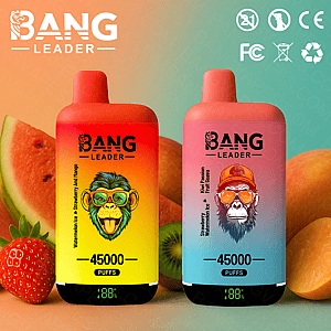 Zwei Einweg-Vape-Geräte von Bang Leader mit 45.000 Zügen, mit lebendigen Designs mit Fruchtgeschmack und Fruchtbildern wie Erdbeeren, Wassermelone und Kiwi im Hintergrund.