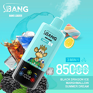 Promotional image for the Bang Leader 3-in-1 vape device featuring the Black Dragon Ice, Marshmallow, and Summer Dream flavors, with vibrant fruit, ice, and drink visuals on a blue background.