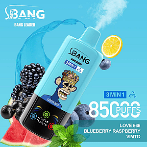 A promotional image for the Bang Leader vape featuring the 'Love 666' flavor, which is listed as blueberry, raspberry, and vimto, alongside a depiction of the vape device with detailed branding and vibrant fruit imagery against a bright blue background.