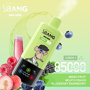 Promotional image for a Bang Leader vape device with a green body, featuring a monkey graphic and colorful branding, alongside an arrangement of fruit such as raspberries, blueberries, and peaches, highlighting mixed fruit flavor options and offering up to 8500 puffs.