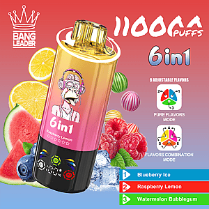 Colorful Bang Leader 6in1 disposable vape with a pink-to-black gradient body and monkey logo, surrounded by lemons, watermelon, raspberries and blueberries, advertising 1100 puffs and six flavors, with Pure Flavors mode and Flavors Combination mode.