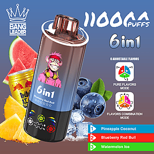 6in1 vape bottle with Blueberry Red Bull flavor and a pink-haired cartoon monkey, surrounded by watermelon, pineapple and other fruits with the Bang Leader crown logo on a blue-to-brown gradient background.