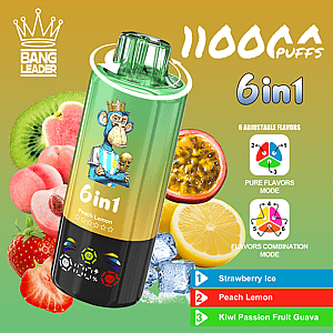 A green cylindrical vape device with a crown Bang Leader logo and '6in1' branding leans diagonally, set against a gradient background with kiwi, peach, strawberry, passion fruit, and lemon to highlight six adjustable flavors and flavor modes.