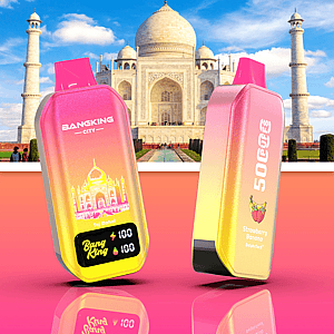 Zwei glänzende rosa-gelbe Dampfgeräte mit Taj Mahal im Hintergrund; .