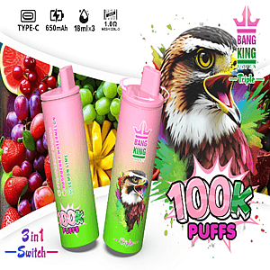 Two pink-to-green gradient disposable vape devices with pink mouthpieces stand against a vibrant fruit-filled background, featuring a large '100K PUFFS' graphic and Bang King branding, alongside small icons indicating Type-C, 650mAh, 18ml x3 and 1.0Ω mesh coils.
