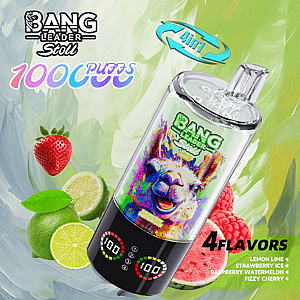 Een heldere reclame voor Bang Leader Stoll bestaat uit een grote, doorzichtige fles met een kleurrijke regenbooglama-afbeelding op het etiket, een groen-blauwe 4-in-1-badge en een zwarte basis, omringd door citroenen, limoenen en aardbeien met de tekst 4 smaken: citroenlimoen, aardbeienijs, frambozenwatermeloen, bruisende kers.