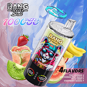 Kleurrijke vape-mod met een cartoonkat met een zonnebril op het etiket, Bang Leader Stoll 4in1, omgeven door fruit en met vier smaken: Pink Lemonade, Kiwi Passion Fruit Guava, Peach Berry en Strawberry Banana.