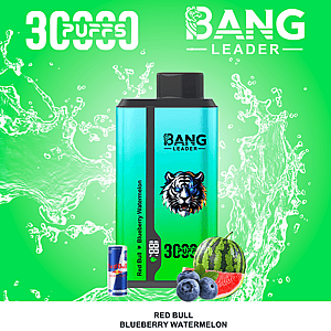 Fondo verde brillante con patrones de salpicaduras de agua, una botella de vaporizador Bang Leader turquesa con tapa negra y un logotipo con temática de tigre, etiquetado como Blueberry Watermelon, acompañado de pequeños gráficos de frutas que incluyen arándanos y una rodaja de sandía.