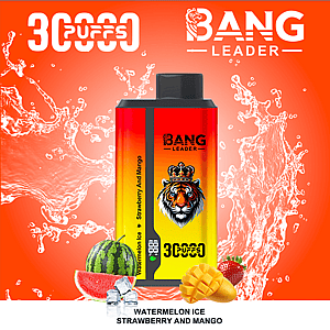 Un fondo naranja vibrante con gráficos de salpicaduras muestra una botella alta de e-líquido Bang Leader con una etiqueta degradada de rojo a amarillo y un emblema de tigre, flanqueada por imágenes de sandía, fresa y mango; .
