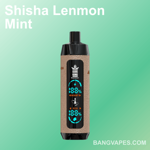 Dispositivo Vape etichettato "Bang King" su sfondo verde menta con testo "Shisha Lenmon Mint" e "BANGVAPES.COM".