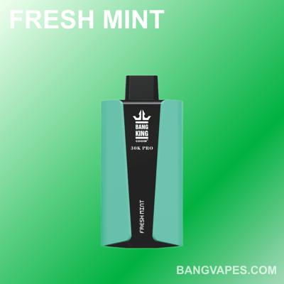 Bang King 30000 Pro: Disposable Device with 30k Puffs - BangVapes