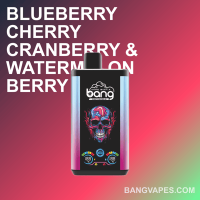 Bang 30K Pro: 30.000 Züge Einweg-Vaporizer mit Dual-Flavor-System –  BangVapes