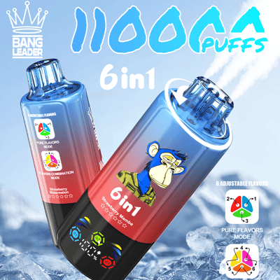 Dos botellas de vapeo en degradado azul con una llamativa etiqueta 6 en 1, una con un mono de dibujos animados, sobre un fondo de montaña nevada con el logotipo de la corona Bang Leader en la parte superior izquierda y sugerencias de seis opciones de sabor.