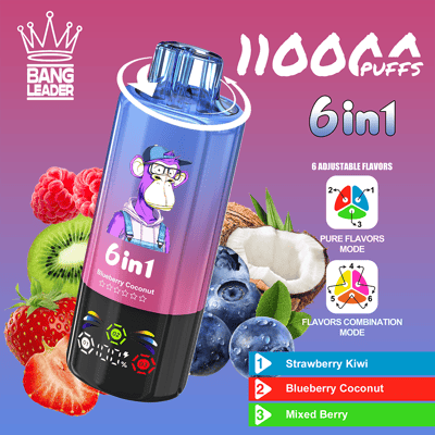 Bright Bang Leader 6in1 disposable vape ad featuring a blue-to-purple bottle with a cartoon monkey, set among raspberries, kiwi, coconut and blueberries, with a bold '6in1' label and a flavor lineup including Strawberry Kiwi, Blueberry Coconut, and Mixed Berry.