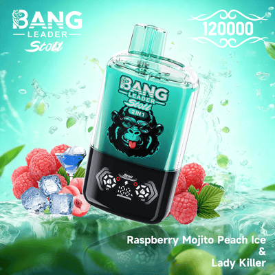 Türkisfarbene Bang Leader-Zwei-in-Eins-Flasche mit einem Cartoon-Affenlogo, diagonal geneigt, umgeben von Himbeeren, Eiswürfeln und Minzblättern vor einem blaugrünen Hintergrund, mit den Geschmacksrichtungen Raspberry Mojito Peach Ice & Lady Killer und einem dekorativen 120000-Motiv oben rechts.