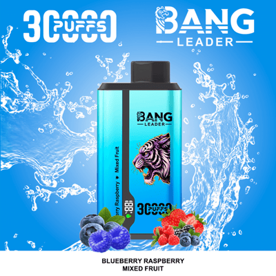 Turquoise Bang Leader vape bottle with a black cap and a tiger graphic stands upright on a splashy blue background, labeled Blueberry Raspberry Mixed Fruit, with blueberries, raspberries, blackberries, and strawberries arranged at the base and bold '30,000 puffs' text and Bang Leader branding visible.