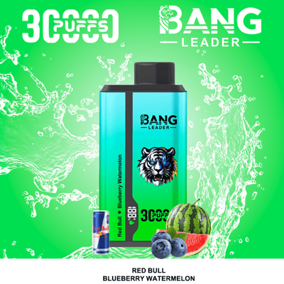 Bright green background with water splash patterns, a turquoise Bang Leader vape bottle with black cap and a tiger-themed logo, labeled Blueberry Watermelon, accompanied by small fruit graphics including blueberries and a watermelon slice.