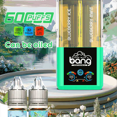 Ad for Bang disposable vape with teal device and blueberry flavors Blueberry Ice and Blueberry Mint, plus two 10 ml bottles.