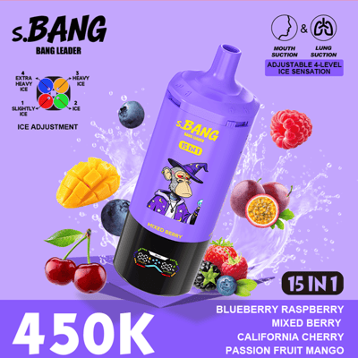 s.BANG 15 in 1 bottle in purple with a cartoon dog wearing a hat, surrounded by fruits like blueberries cherries mango raspberries and a splash background; label shows "BLUEBERRY RASPBERRY" and "450K" price/stock.