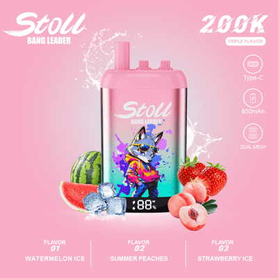 Pink “Stoll Bang Leader” vape pod with triple flavor text, type-C, 650mAh, dual mesh, and fruit illustrations