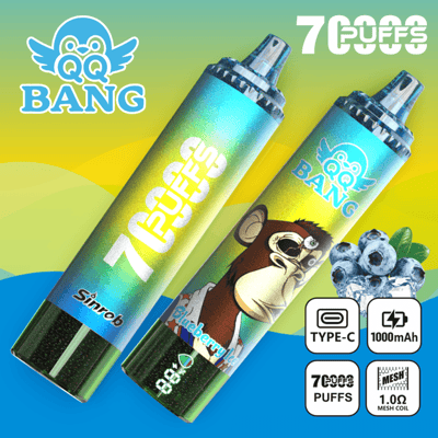 Two blue-green disposable vaping devices with “BANG” branding and flavor graphics, showing Type-C 1000mAh specs