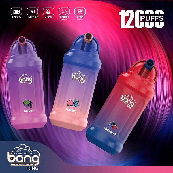 Découvrez le plaisir ultime de vapoter avec le BANG KING 12000. Il est élégant et offre 12 000 bouffées de saveur rafraîchissante. Idéal pour les vapoteurs recherchant une expérience durable et satisfaisante.