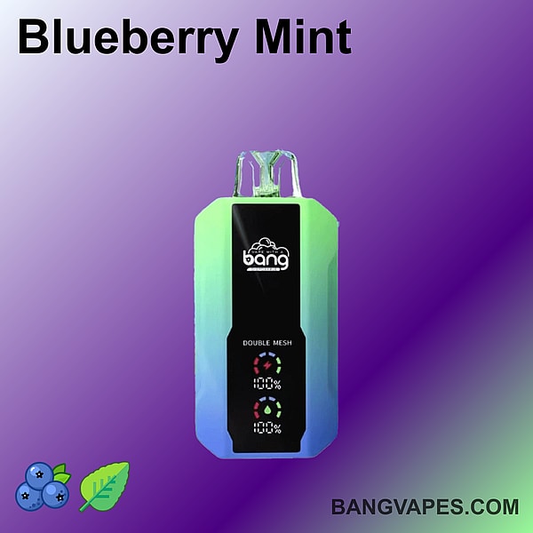 Vape Blueberry Mint Bang avec technologie double mesh et indicateurs de niveau de batterie, affichés sur un fond violet dégradé.