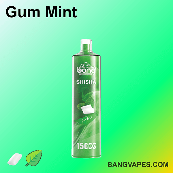 Bang Shisha Gum Mint disposable vape with 15,000 puffs, featuring a green design with mint leaves and gum illustration.