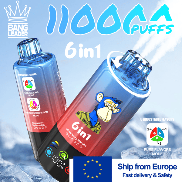 disposable vapes europe Bang Leader 110K EU Vape | 110,000 Puffs 6-in-1 Flavor Switch | Ships from European Warehouse Variant:Lemon Mint On Sale Disposable Vapes Manufacturers -