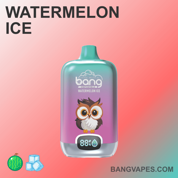 Waporyzator Watermelon Ice z motywem sowy i cyfrowym wyświetlaczem pokazującym poziom naładowania baterii i płynu.