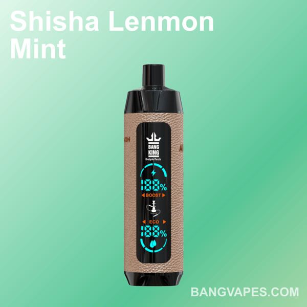 Urządzenie Vape oznaczone "Bang King" na miętowozielonym tle z tekstem "Shisha Lenmon Mint" i "BANGVAPES.COM".