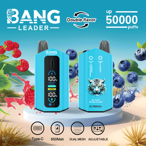 Promotional image for BANG LEADER vape device featuring two blue vape units, illustrations of raspberries and blueberries, and product features such as double flavor, up to 50,000 puffs, Type-C charging, 650mAh battery, dual mesh technology, and adjustable settings.
