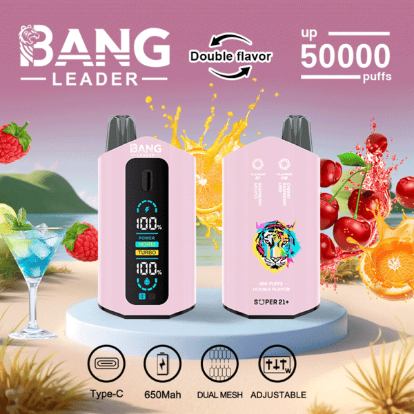 Promotional image for Bang Leader vape device showing two pink vapes, fruit designs, and a beach background, highlighting features such as double flavor, up to 50,000 puffs, Type-C charging, 650mAh battery, dual mesh, and adjustable settings.