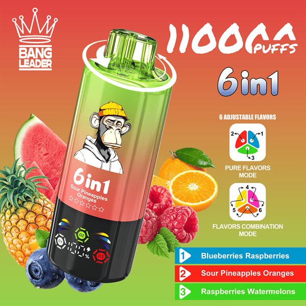 Appareil de vape jetable coloré avec la marque Bang Leader et un dégradé vert à rose, étiqueté 6 en 1 et promettant 11 000 bouffées, présenté parmi l'ananas, la pastèque, l'orange, les framboises et les myrtilles pour mettre en valeur six saveurs réglables.