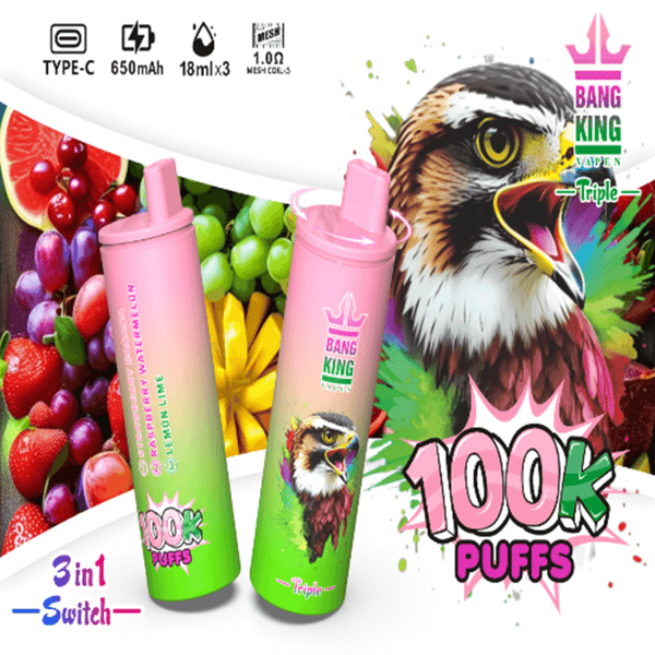 Deux appareils de vape jetables à dégradé rose à vert avec des embouts roses se dressent sur un fond vibrant rempli de fruits, avec un grand graphique ' 100K PUFFS ' et la marque Bang King, aux côtés de petites icônes indiquant Type-C, 650 mAh, 18 ml x3 et 1.0Ω bobines de maille.